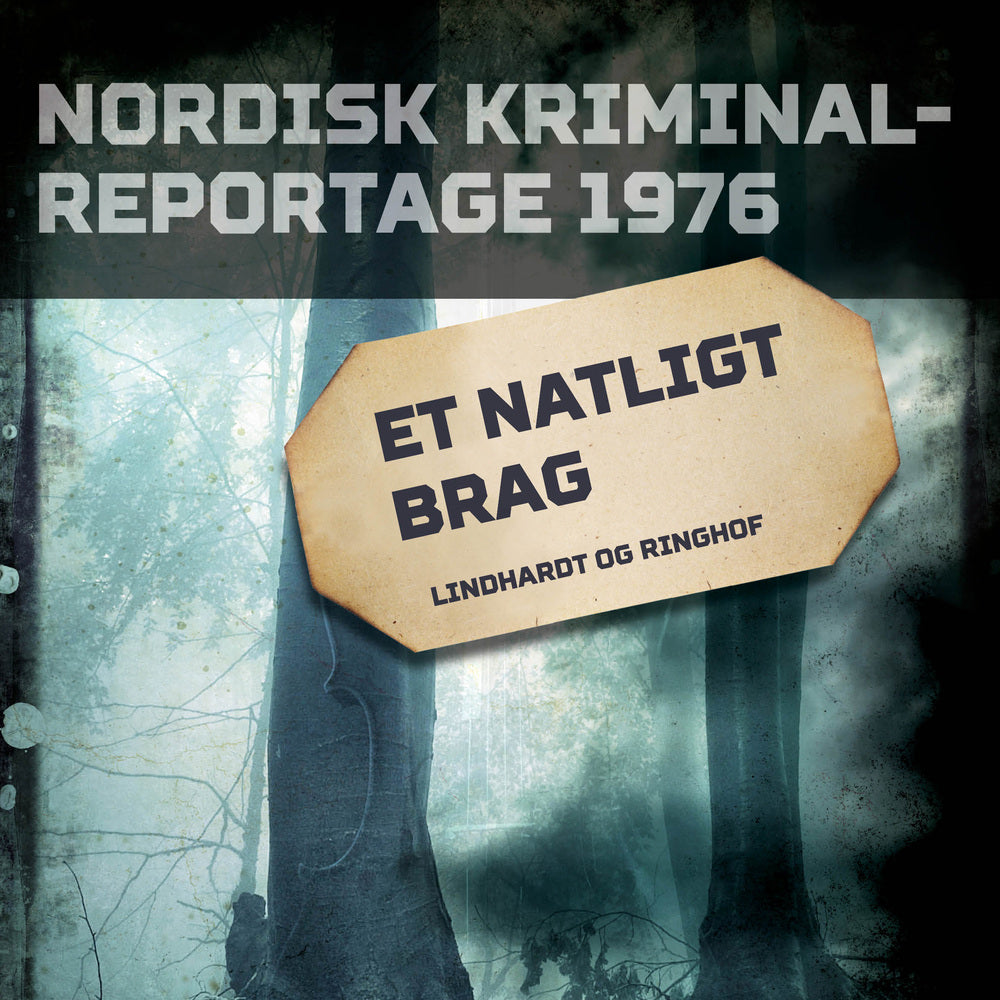Et natligt brag