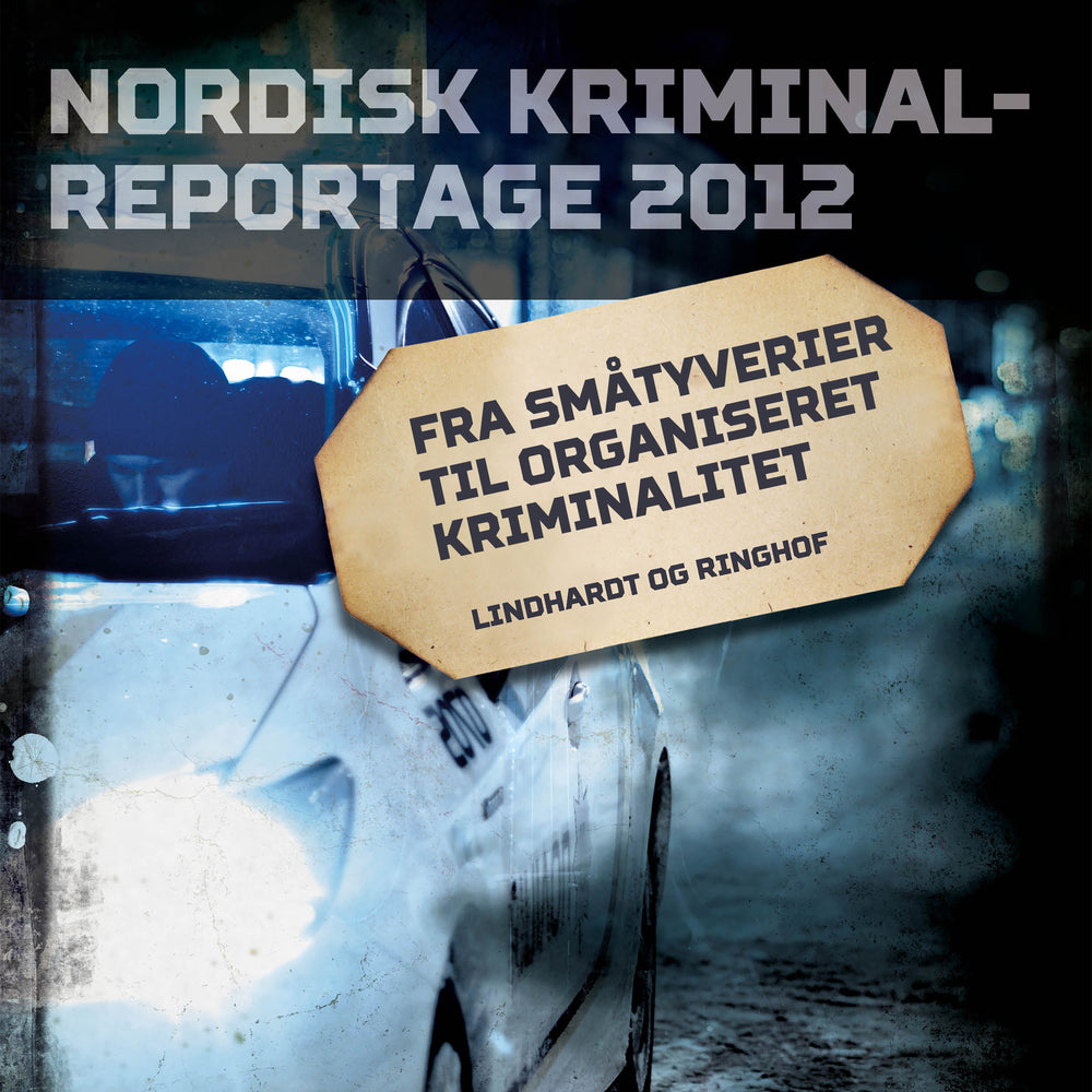 Fra småtyverier til organiseret kriminalitet