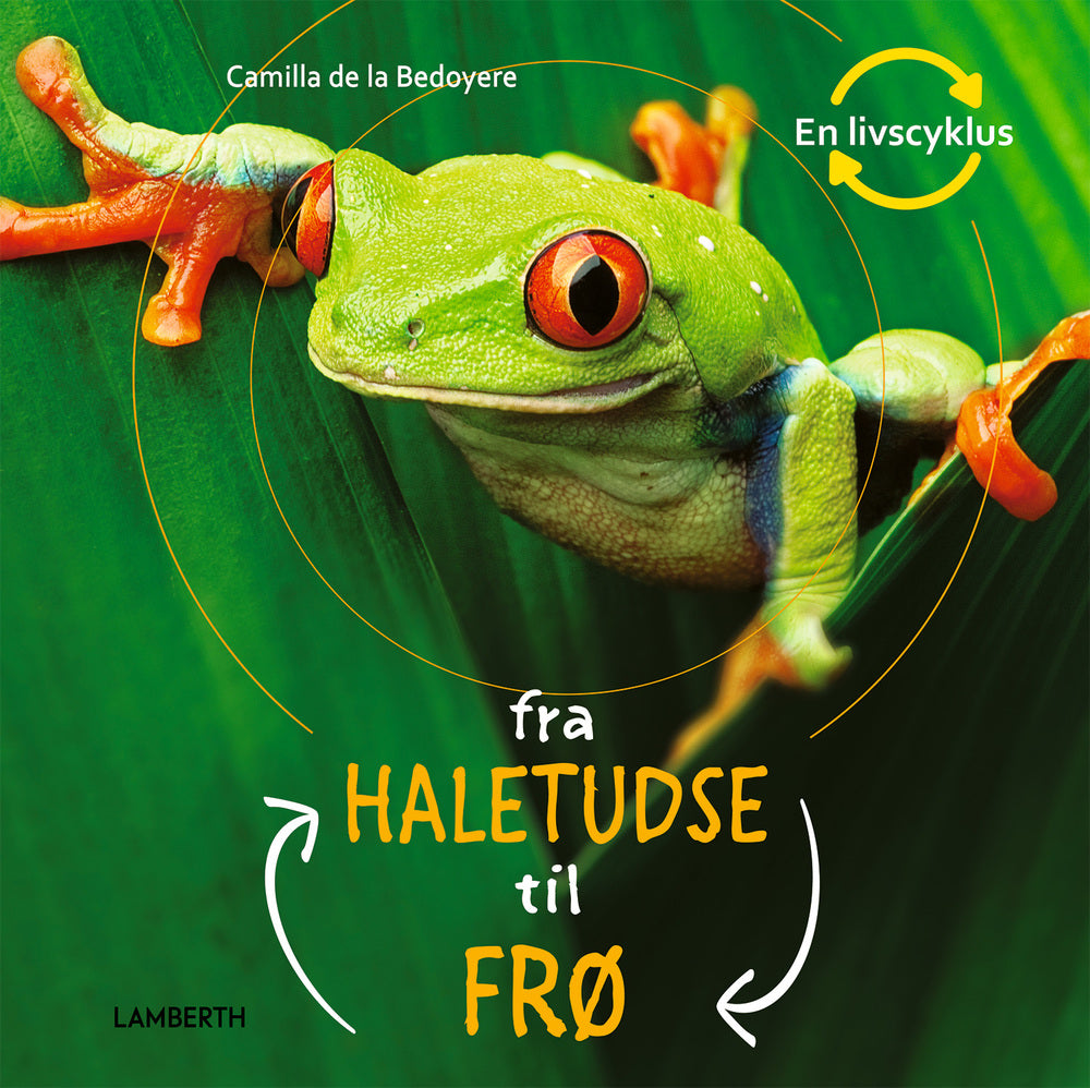 Fra haletudse til frø