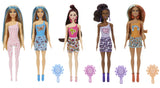 Barbie Color Reveal Rainbow Groovy Series