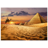 Puslespil Camel in The Desert 1000 brikker