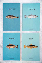 Lystfiskerens håndbøger. Havet. Kysten. Søen. Åen.