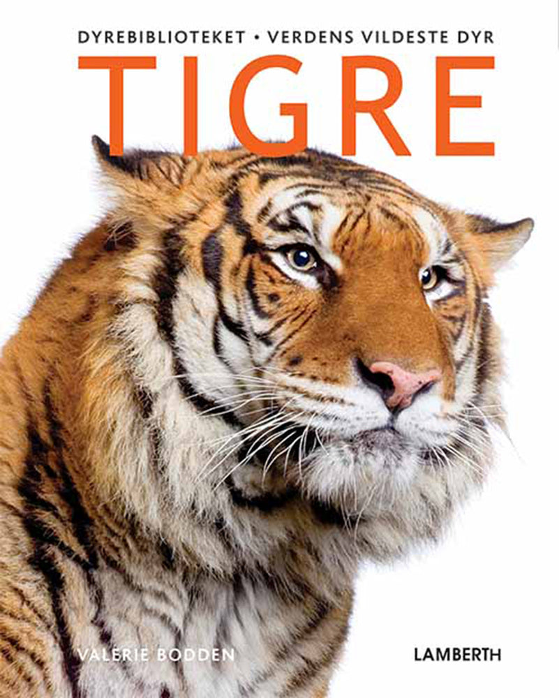 Verdens vildeste dyr - Tigre