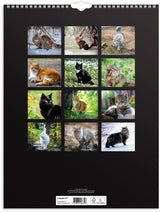 Mayland Vægkalender 2025 katte 29,5 x 39 cm