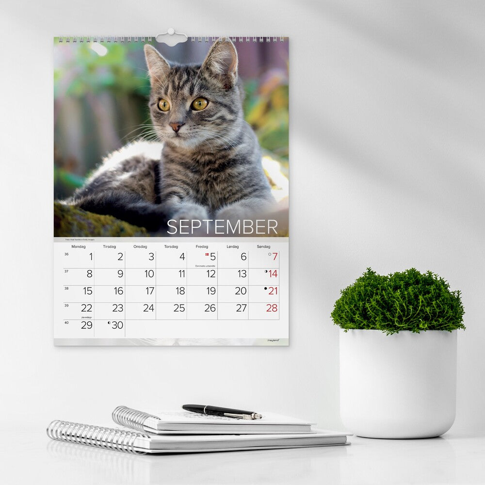 Mayland Vægkalender 2025 katte 29,5 x 39 cm