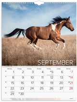Mayland Vægkalender 2025 heste 29,5 x 39 cm