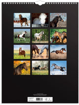 Mayland Vægkalender 2025 heste 29,5 x 39 cm