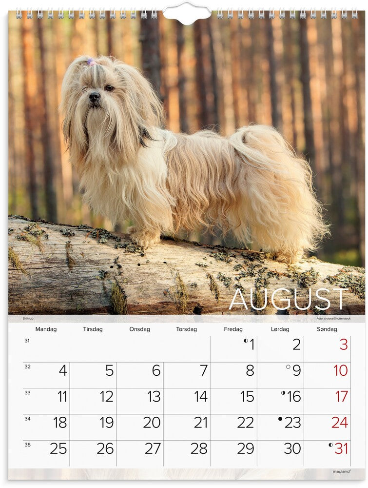Mayland Vægkalender 2025 hunde 29,5 x 39 cm