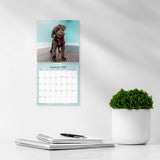 Mayland Vægkalender 2025 hundehvalpe 16 x 16 cm