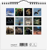 Mayland Vægkalender 2025 verdens dyr 16 x 16 cm