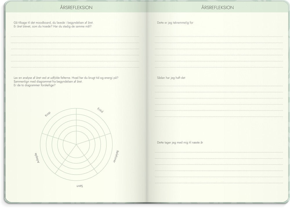 Mayland Life planner 2025 dream & do