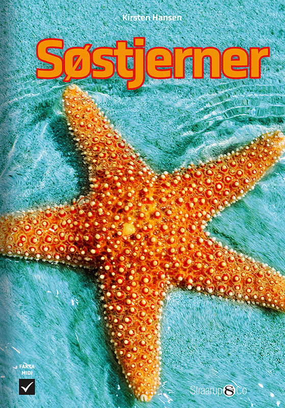 Søstjerner