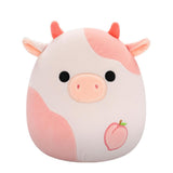 Squishmallows 19 cm ass