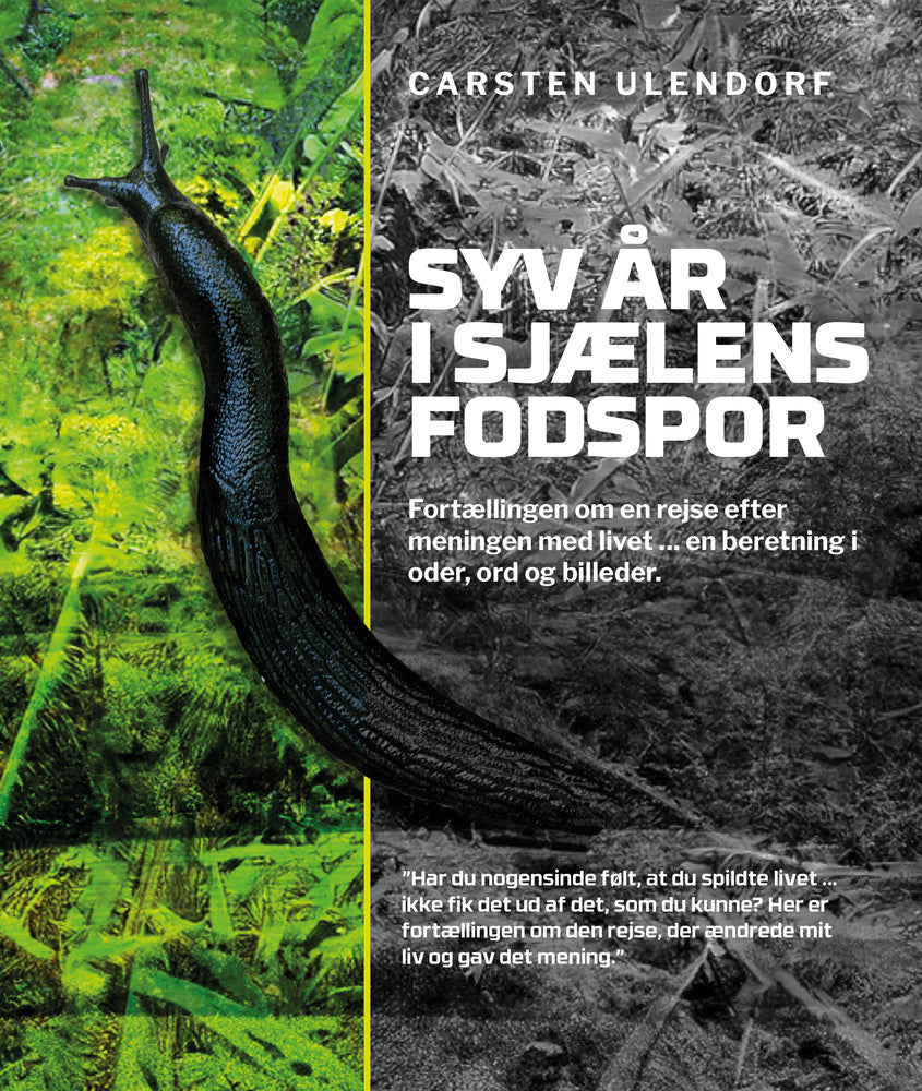 Syv år i sjælens fodspor