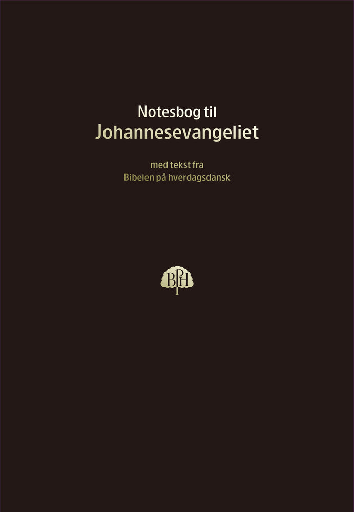 Bibelnotesbog 4, Johannesevangeliet