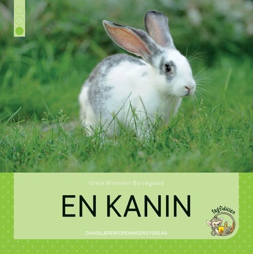 En kanin