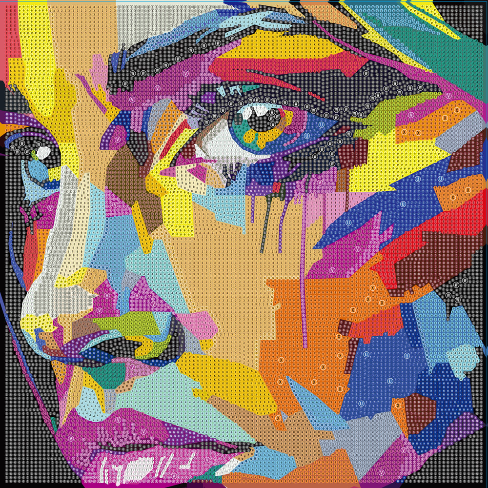 Diamond art MIX ansigt  40 x 40 cm