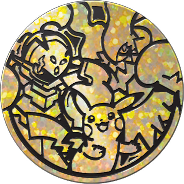 D2 Pokemon Battle Academy 2024