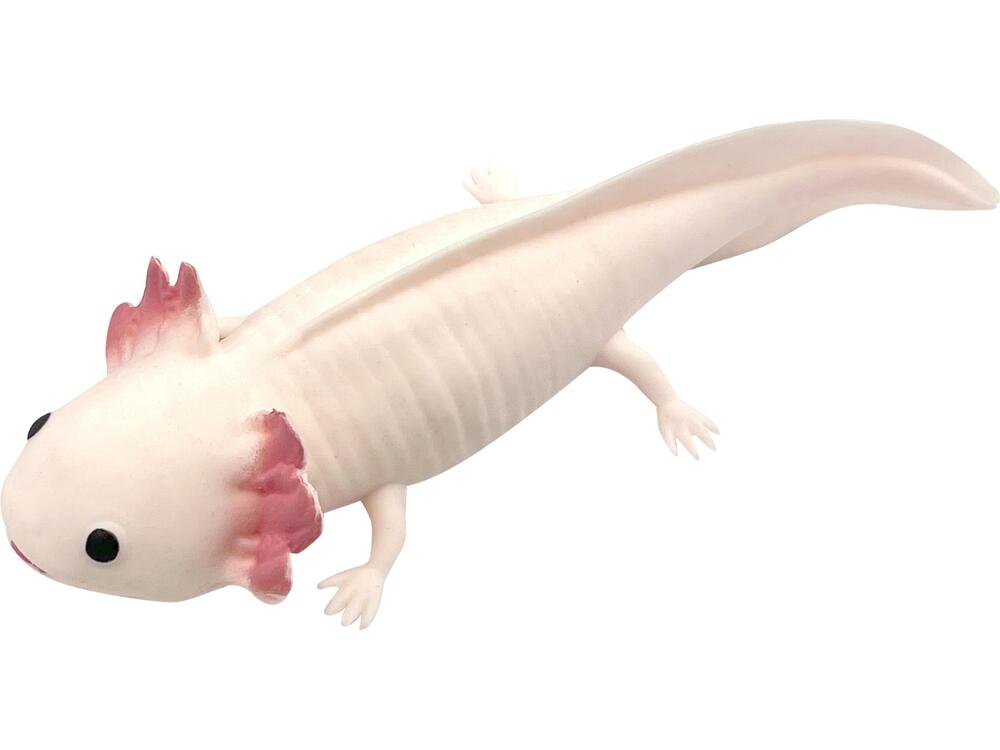 Squishy Cynops asst