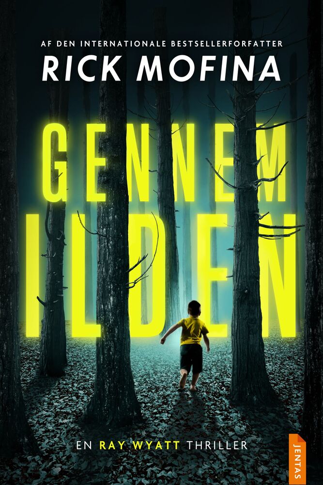 Gennem ilden