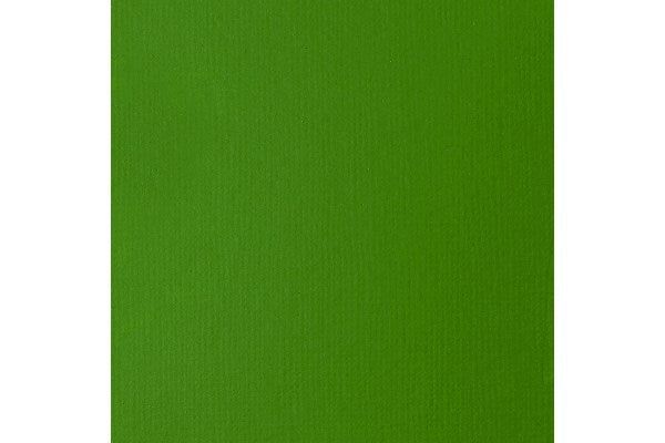 Basics 118Ml Light Green Permanent 312