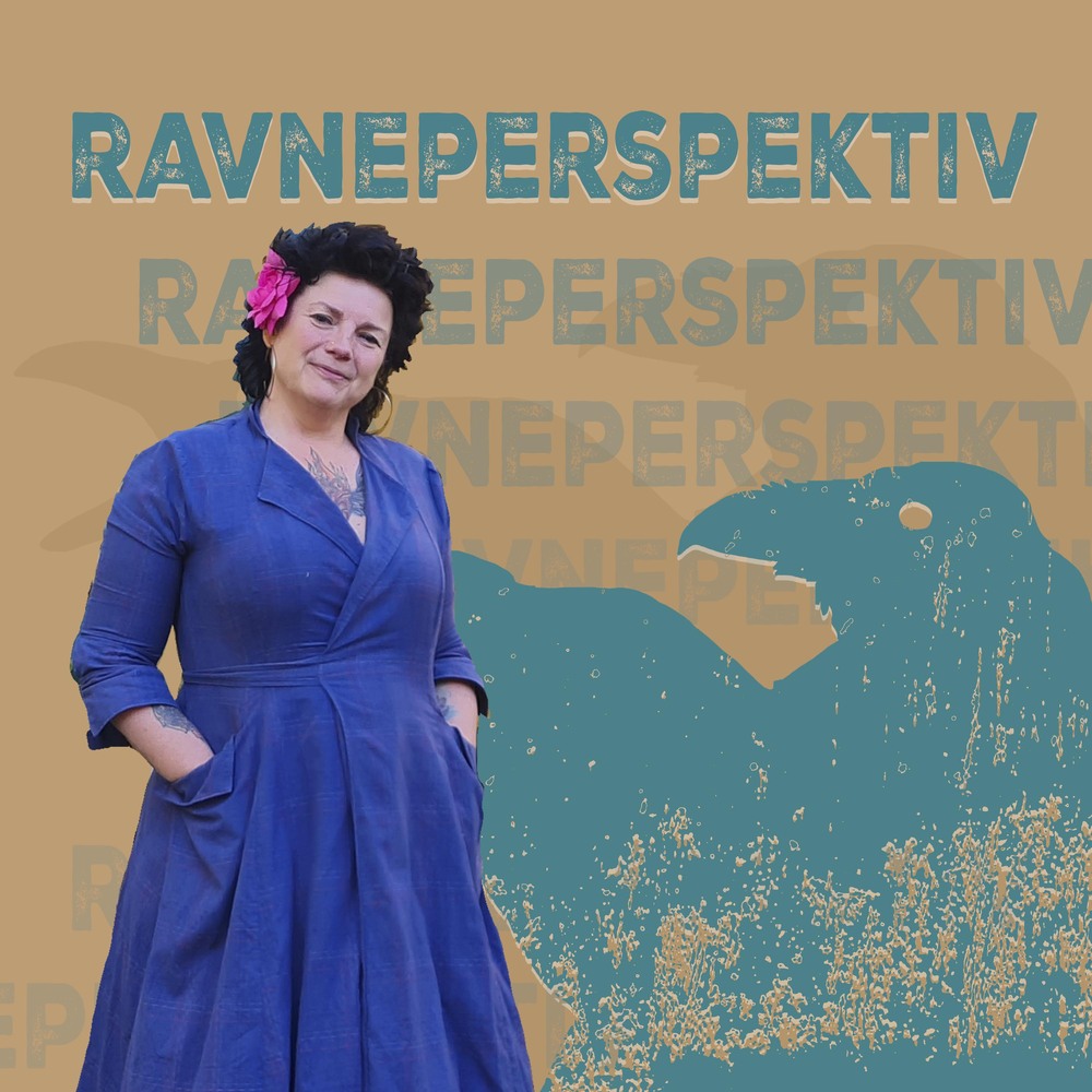 Ravneperspektiv