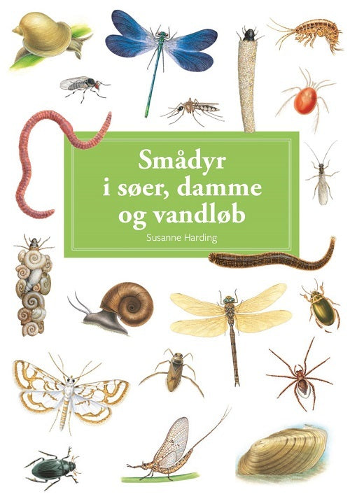 Smådyr i søer, damme og vandløb, display med 10 stk.