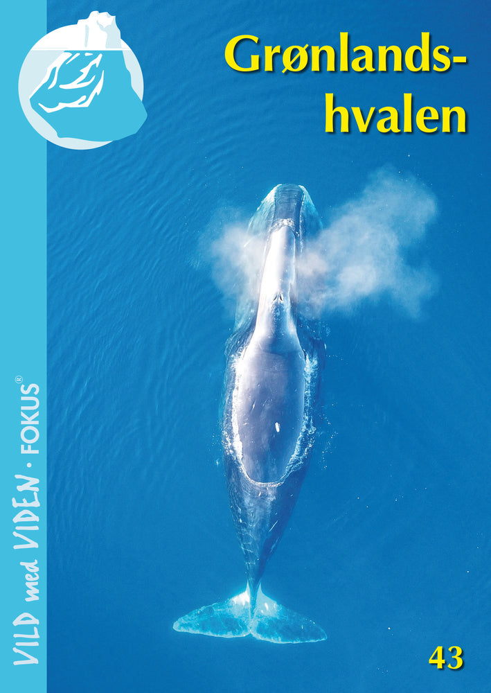 Grønlandshvalen