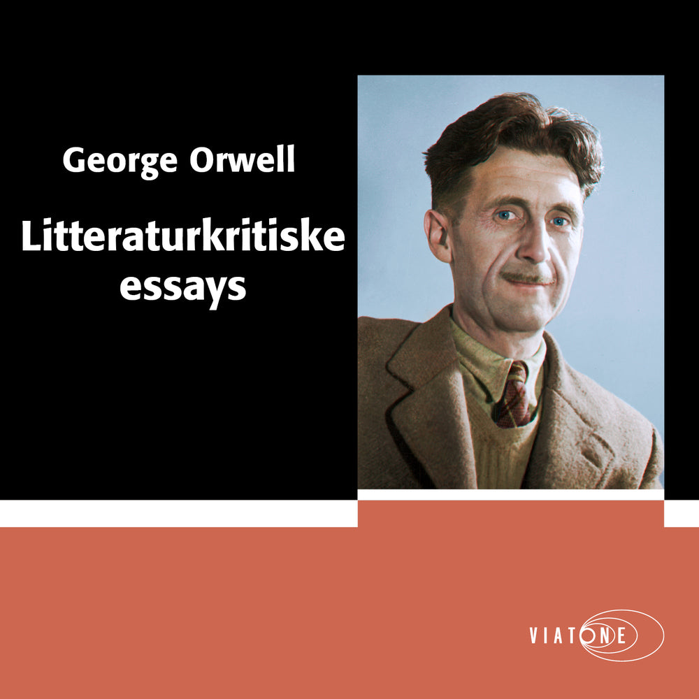 Litteraturkritiske essays