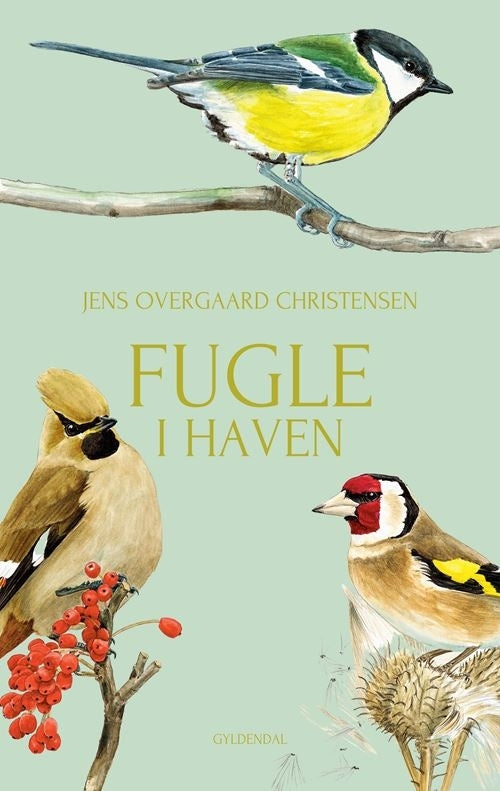 Fugle i haven