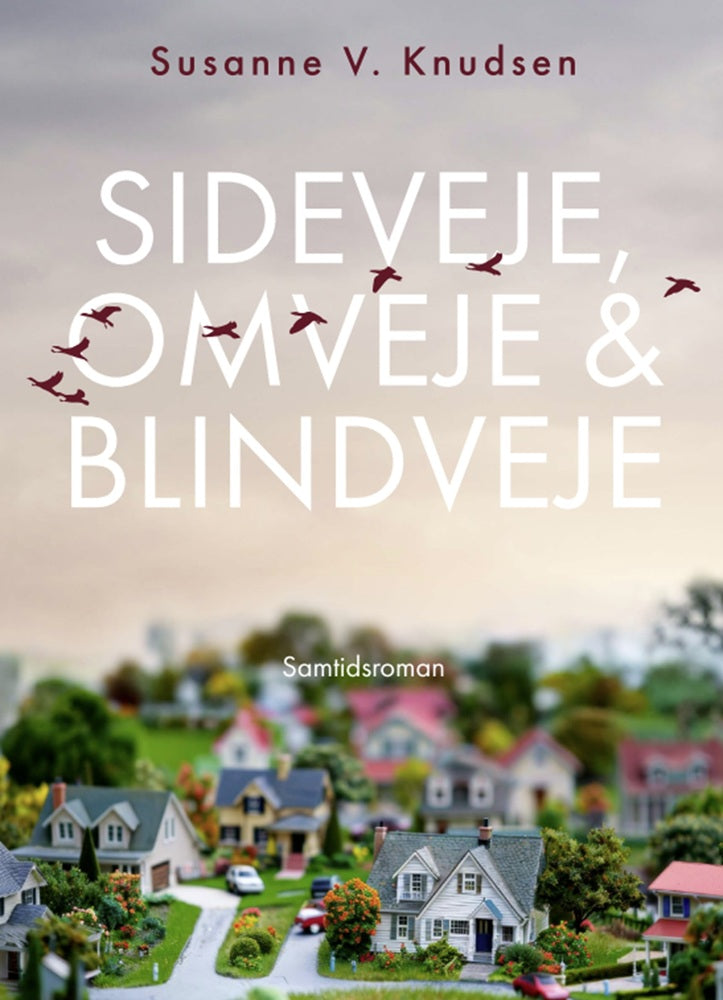 Sideveje, omveje & blindveje