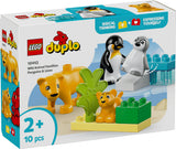 10442 LEGO DUPLO Town Vilde dyrefamilier: pingviner og løver