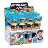 Mr. Beast Swarms 2-pack S.2