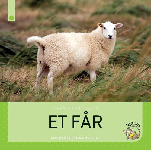 Et får