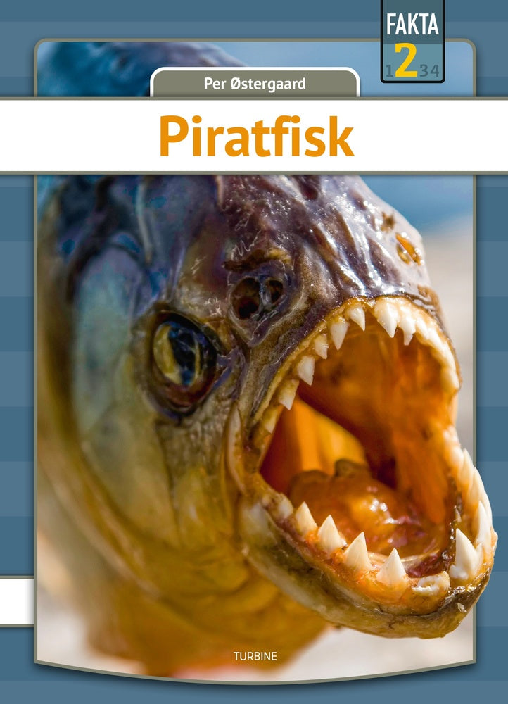 Piratfisk