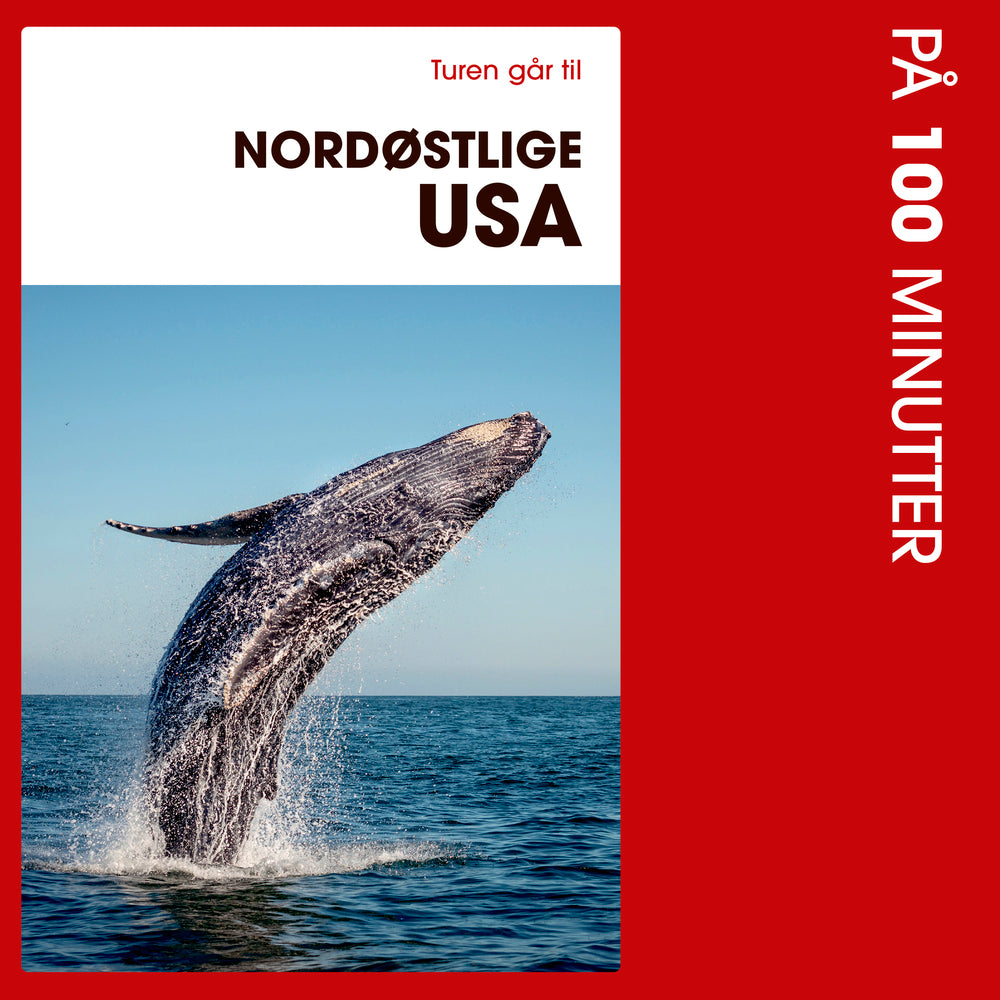 Turen går til Nordøstlige USA på 100 minutter