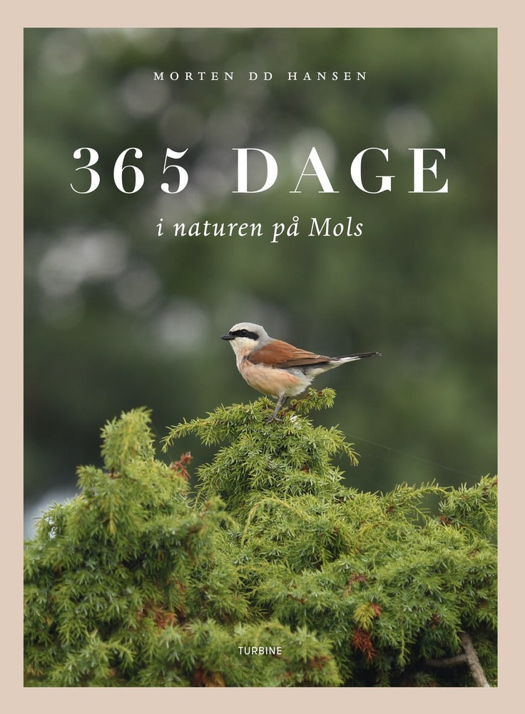 365 dage i naturen på Mols