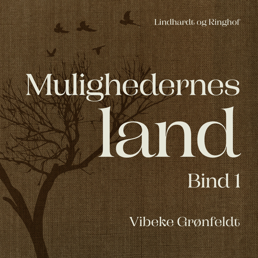 Mulighedernes land. Bind 1