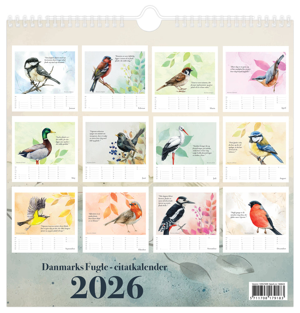 VÆGkalender 2026 Danmarks Fugle 29,5 x 29,5 cm