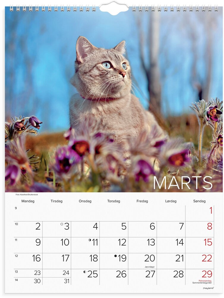 Vægkalender 2026 katte 29,5 x 39 cm