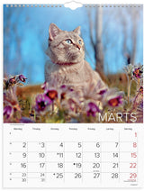 Vægkalender 2026 katte 29,5 x 39 cm