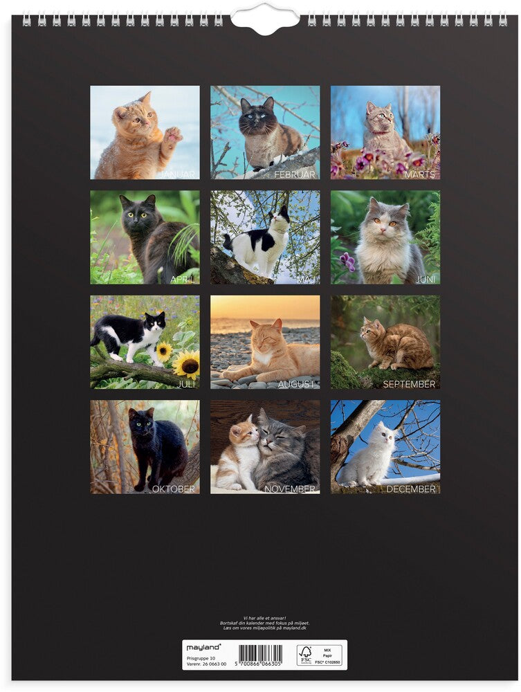 Vægkalender 2026 katte 29,5 x 39 cm