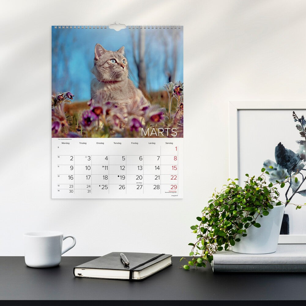 Vægkalender 2026 katte 29,5 x 39 cm