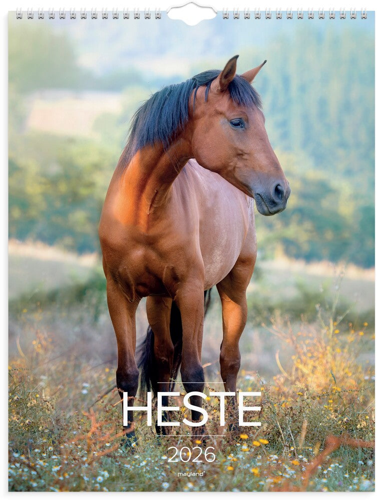 Vægkalender 2026 heste 29,5 x 39 cm