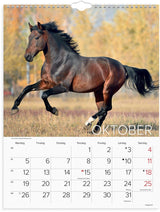 Vægkalender 2026 heste 29,5 x 39 cm