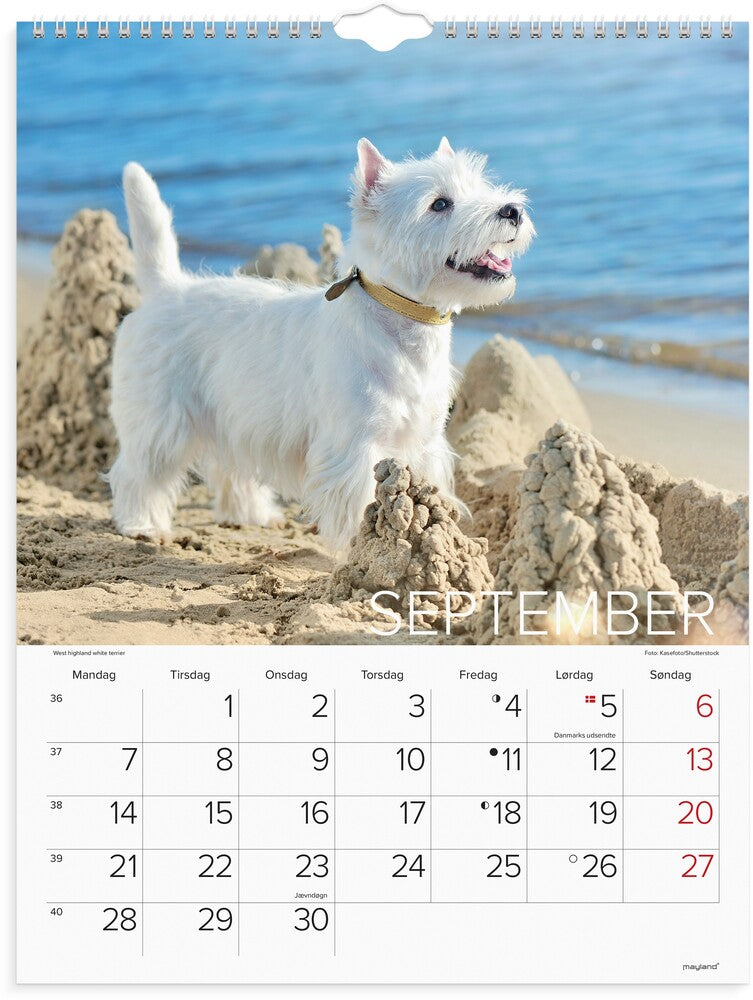 Vægkalender 2026 hunde 29,5 x 39 cm