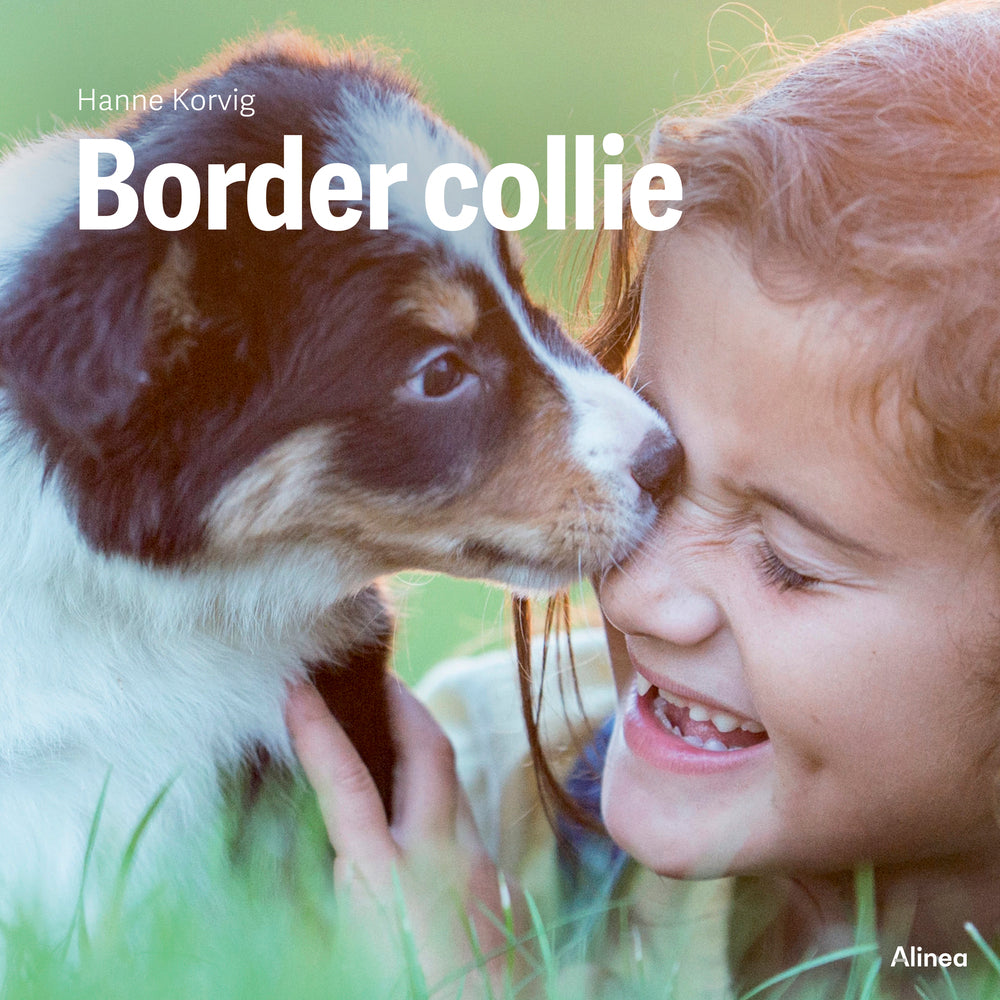 Border collie, Grøn Fagklub