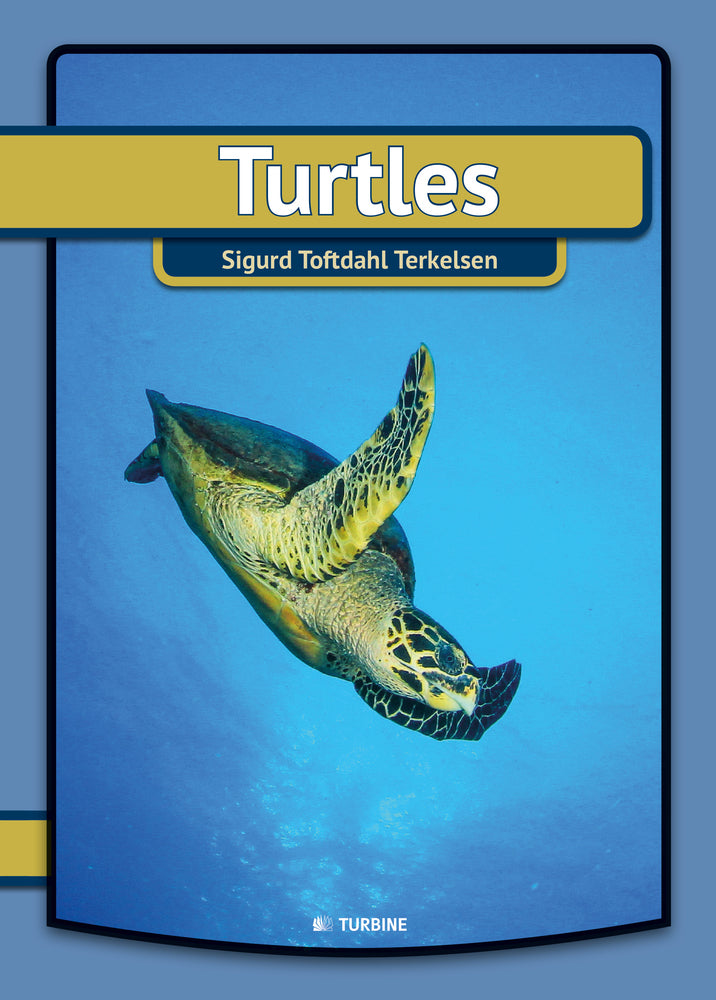 Turtles