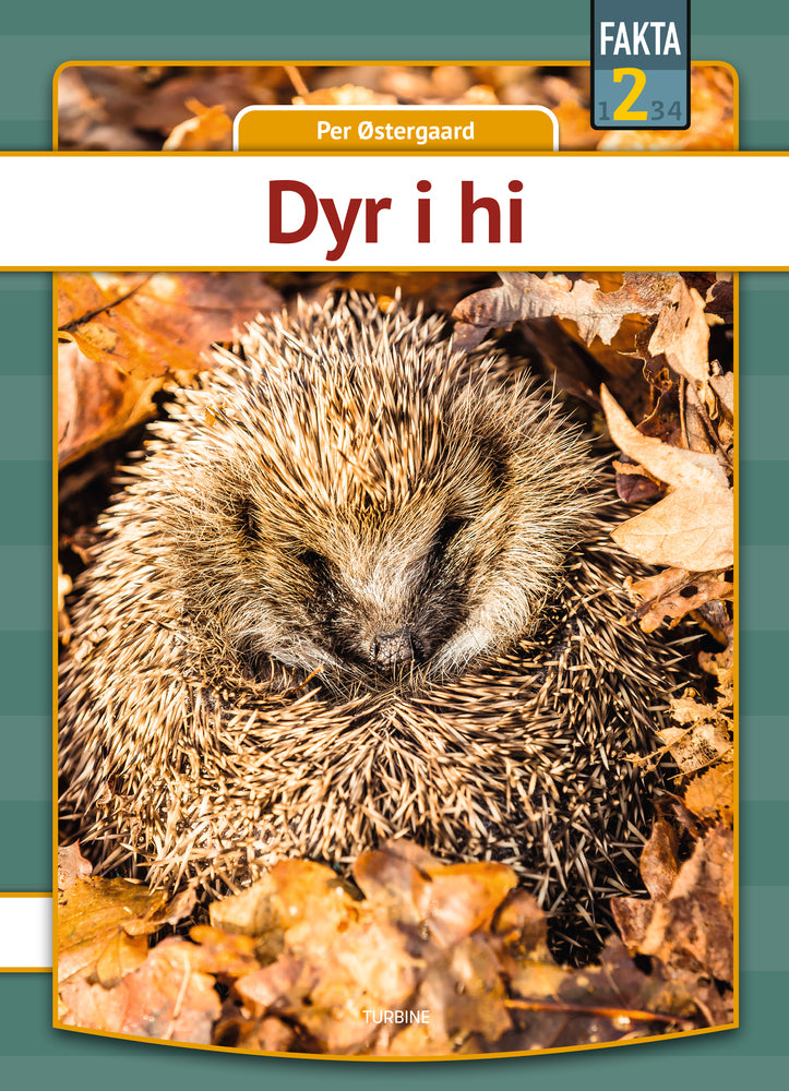 Dyr i hi