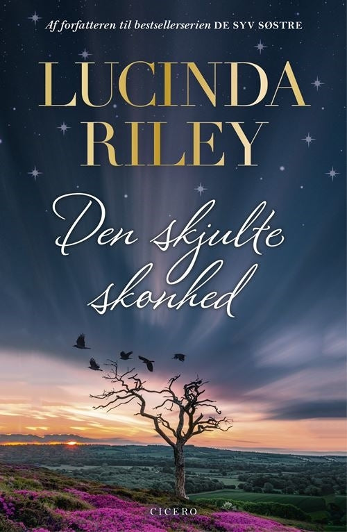 D1 Den skjulte skønhed